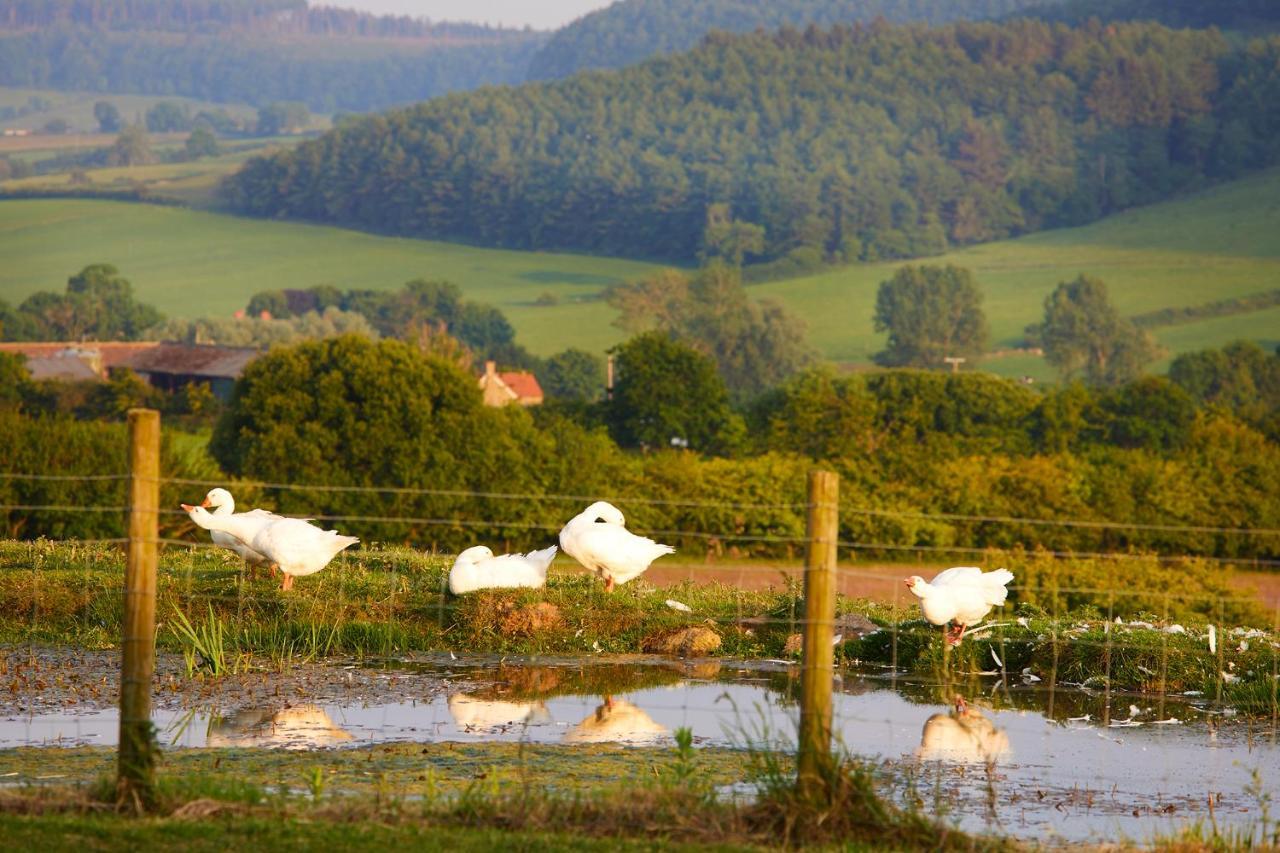 The Grainary Boutique B&B Farm stay Scarborough